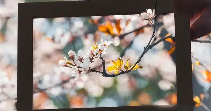 4月最佳旅行地！這18個慢節奏城，比熱門景點美10倍，挑一個出發