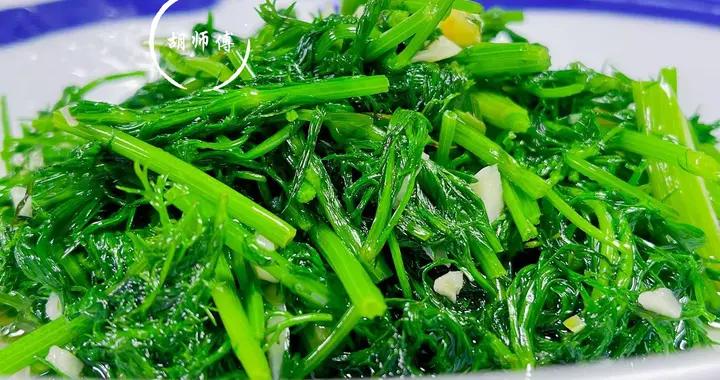 春天，使勁喫這菜，一祛溼、二健脾、三補陽氣、隨手一炒，太香了