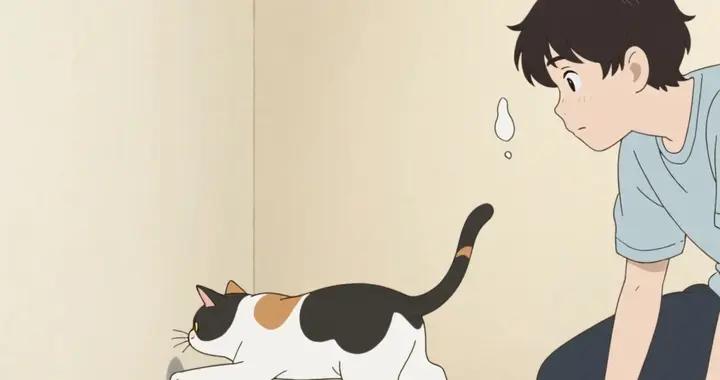 離譜！貓的迷惑行爲竟和視覺有關