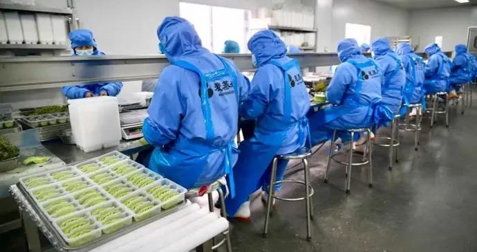 馬力全開！金山廊下鎮企業“狂飆”衝刺“開門紅”