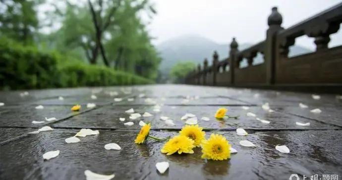 985高校建築學專家逝世，年僅51歲