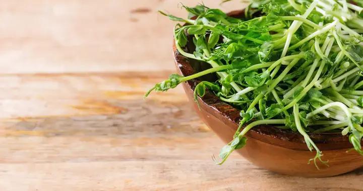 特別適合在春天喫的菜，對肝臟很友好