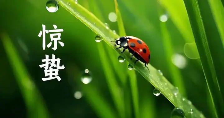 “驚蟄4不喫，病就不找來！”3月5號驚蟄，哪4不喫？應時節樂過春