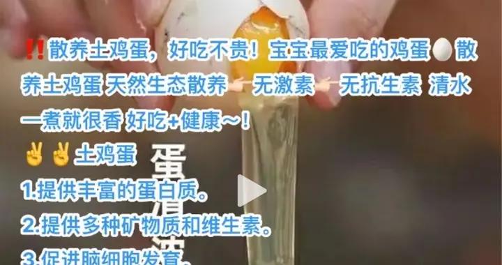 土雞蛋更安全有營養？
