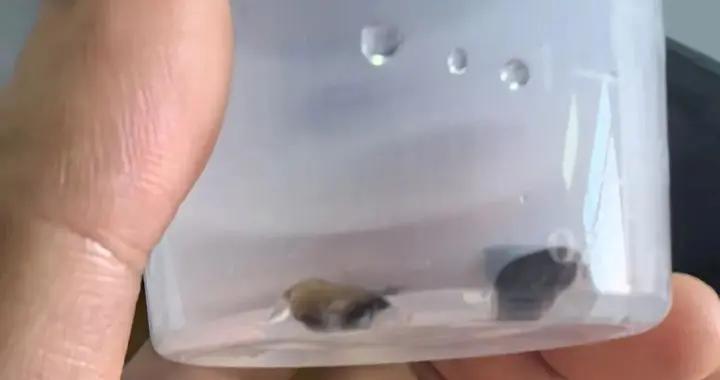 1歲寶寶進了PICU，只因被餵了一小勺…預防記住這5點