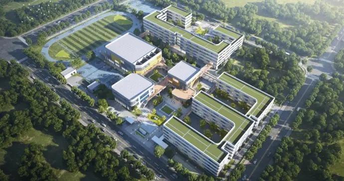 54班！杭州：九年一貫制學校+1