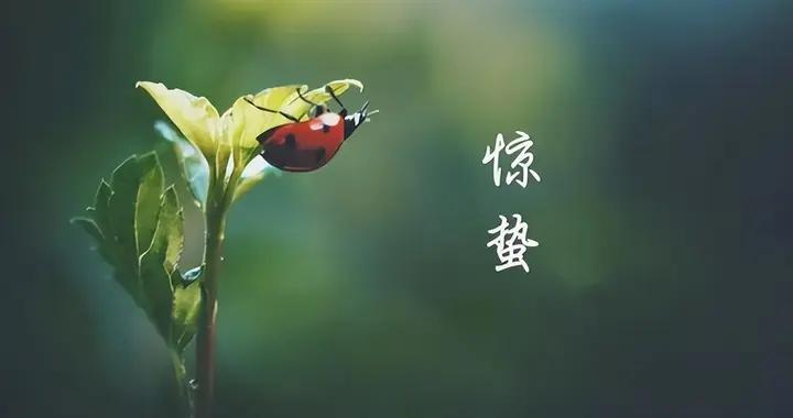 明日驚蟄，建議中老年：1捂，2動，3做，4喫，順應時節，安康度春