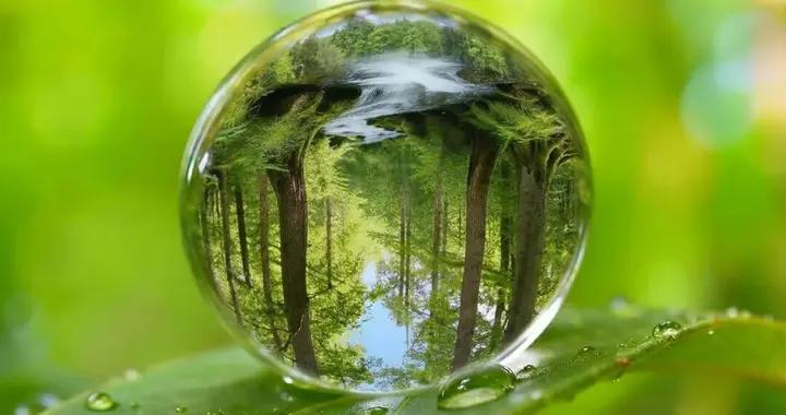 鏡像分子生物學研究是否應被叫停？未來潘多拉魔盒還是科學寶庫？