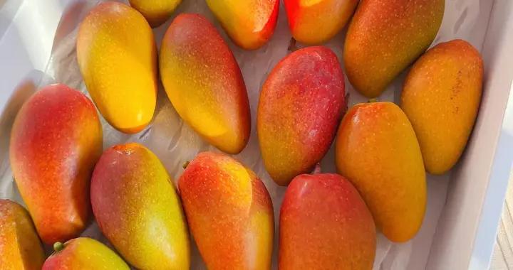 買！3月這些水果夯爆了