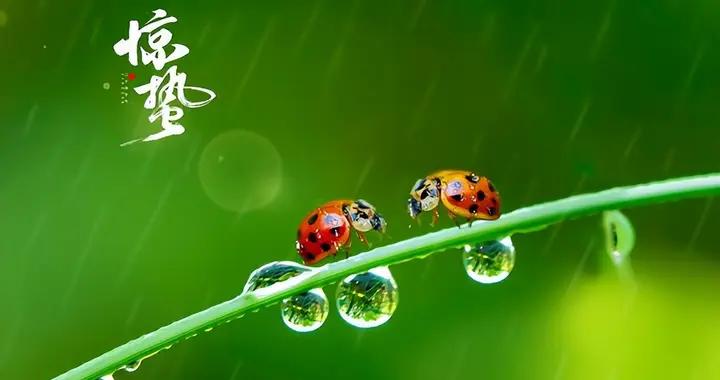 明日驚蟄，60年一遇不一般，建議：喫2菜，喝2湯，做2事，樂過春