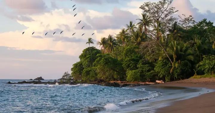 科考旅行 | 哥斯達黎加自然生態考察報名