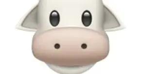 真心推薦用它解饞，好喫不易胖！（不是牛肉乾