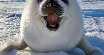 14個最新極品幽默笑話，笑點滿滿，讓你2026年每天都笑到停不下來