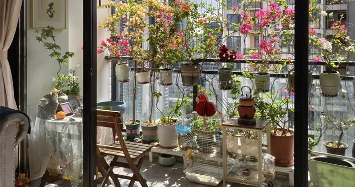 深圳一主婦太太，堅決“不封陽臺”，養鳥種花曬太陽，太舒服了