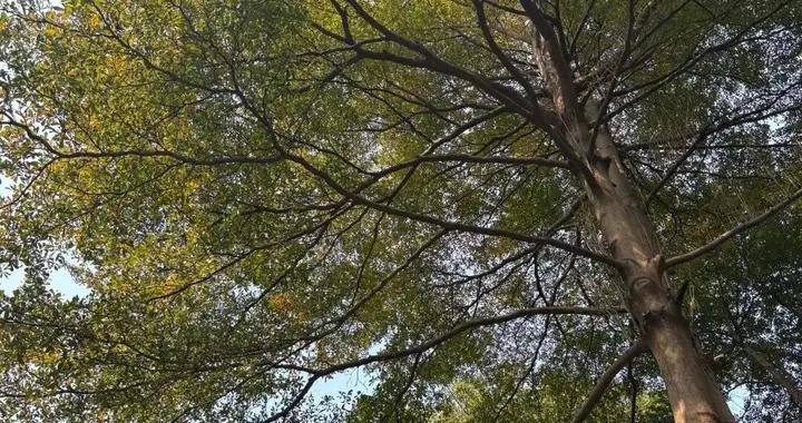 推廣|| 春天第一雙鞋！暴走不累、搭遍好看小裙子