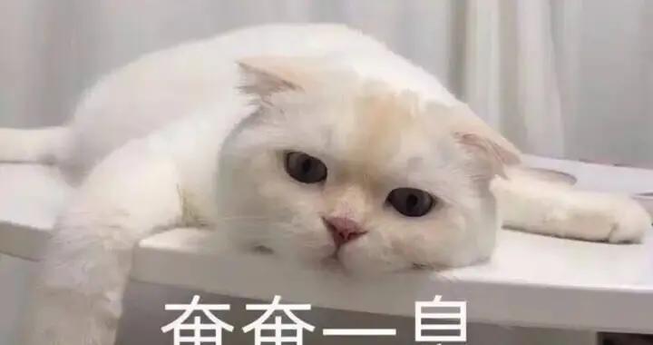 想讓皮膚越來越水潤，別再傻傻只補水！