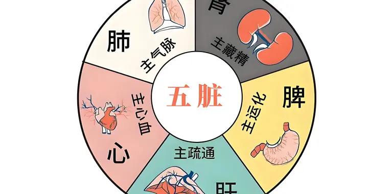 肝看淚水，腎看尿水，肺看鼻水，脾看口水，教你看五液，知五臟