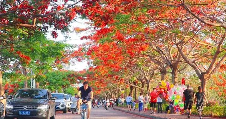 被位置耽誤！雲南這座21°C春日小城，三面與緬甸接壤，比版納愜意