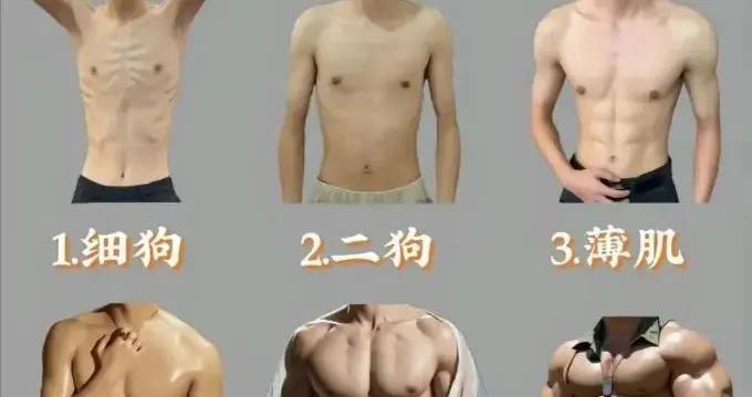 “薄肌”纔是自然健身的盡頭？