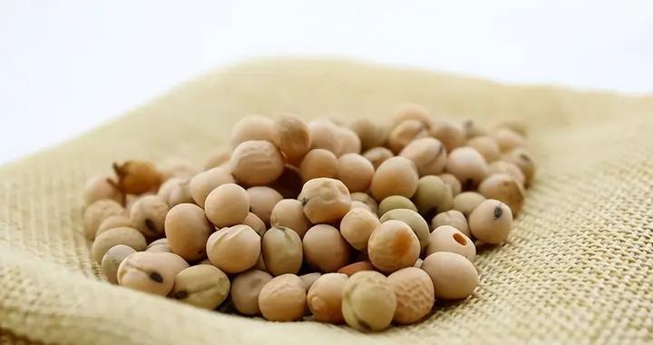 食補豐胸沒那麼難！這份飲食指南告訴你，喫對食材養出好胸型