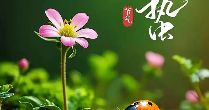 驚蟄喫一果，一年病不沾：這顆“護身果”藏着老祖宗的養生智慧