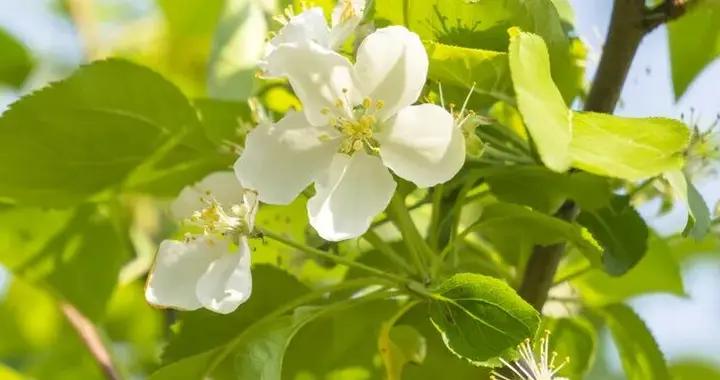 驚蟄：疏肝健脾護陽氣