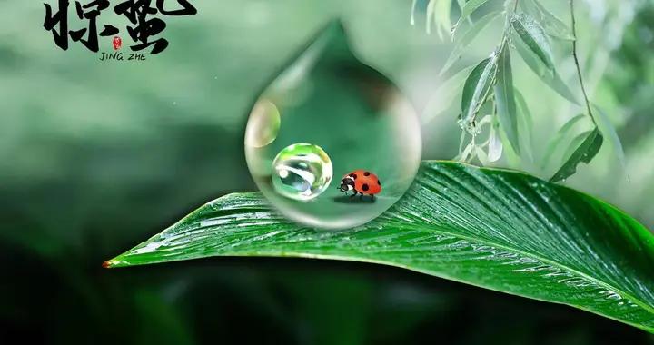 今天驚蟄，記得：喫1果，食2鮮，喝3湯，應時節，爲開春打好基礎