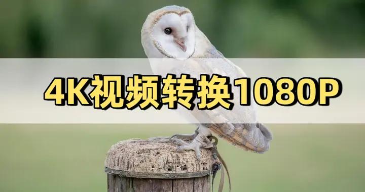 四個工具助你輕鬆掌握4K視頻轉換1080P的技巧