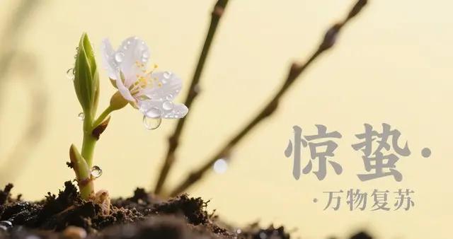 3月5日驚蟄“喫3樣、做1事”：跟着老傳統驅黴運，一年順遂安康