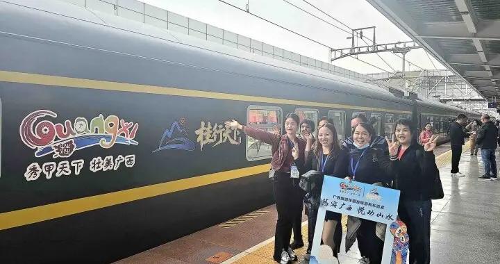 全國人大代表、民進湖南省直出版支部主委戴茵：切實保障老年人旅遊權益