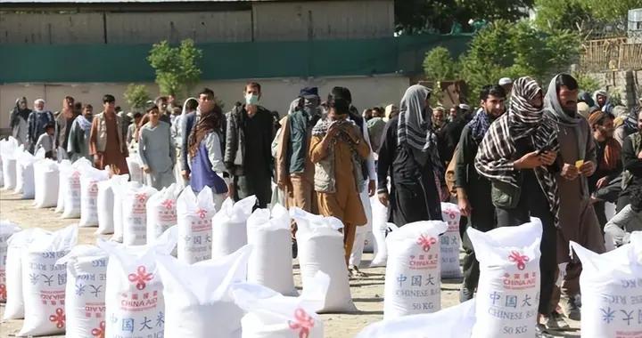 中國送3萬噸大米救急，古巴爲什麼三倍耕地卻90%缺糧？