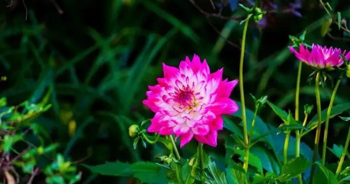 今日驚蟄，多做這5事，祈福一年安康順遂