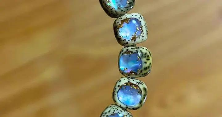 再也不亂扔“鮑魚殼”了！果然，只要思路打開，世間就不再有廢物