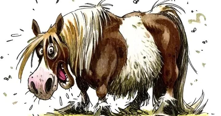 13個超好笑的極品爆笑幽默笑話，承包你週末的所有笑點，快笑死了