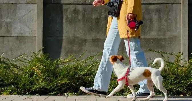 一項被低估的長壽運動，跑步和舉鐵都不如它