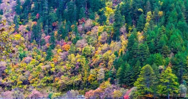 迎接婦女節！多地景區面向女士免費→