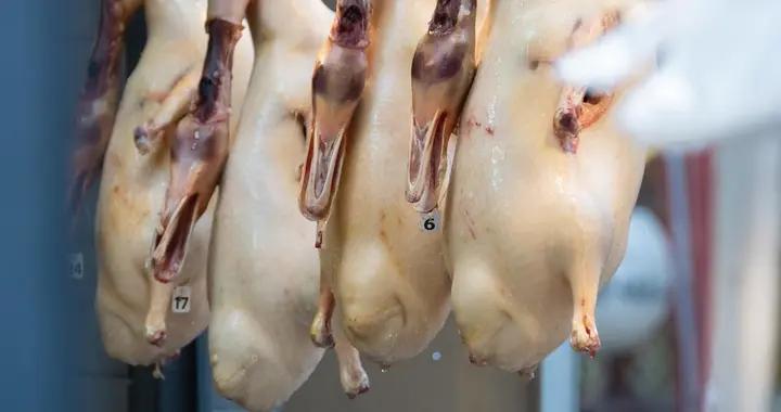 減肥期能喫鴨肉嗎？選對3點，放心喫不胖