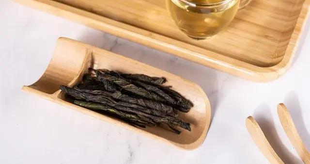 苦丁茶不是“減肥神藥”！正確飲用方法幫你科學甩肉