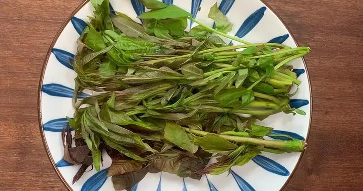 1把香椿，5個雞蛋，3步搞定，我家孩子每次都能多喫一碗飯