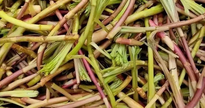 比韭菜更鮮，比菠菜更嫩，這道春菜，我家娃連喫三天都不膩