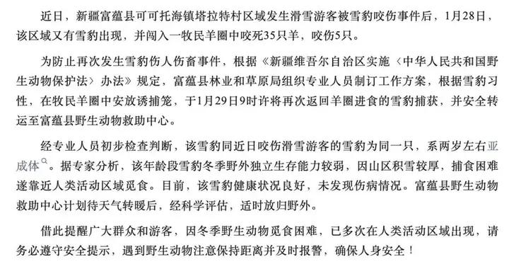 “雪豹怎麼可能一次咬死35只羊？”是誰在用雪豹平賬麼？