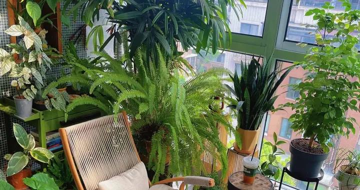 入住後發現：陽臺是最大的浪費！3種流行裝修設計，好看實用兼顧