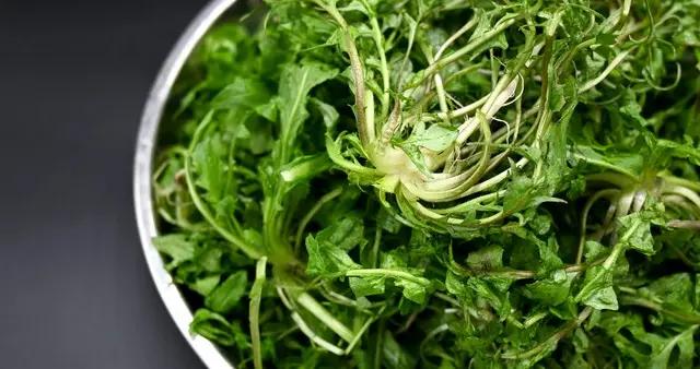 春天養肝黃金菜：4種“黃金菜”，養肝健脾胃