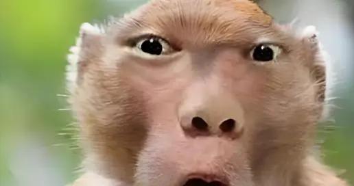 10個最新極品爆笑幽默笑話，笑點拉滿，笑破肚皮，每日開心一笑