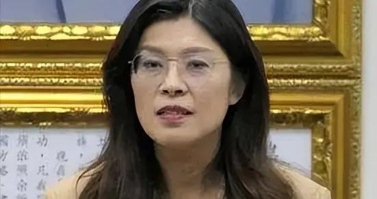 臺藍綠政客同日竄美！妄圖“倚美謀獨”？鄭麗文訪陸之行迫在眉睫