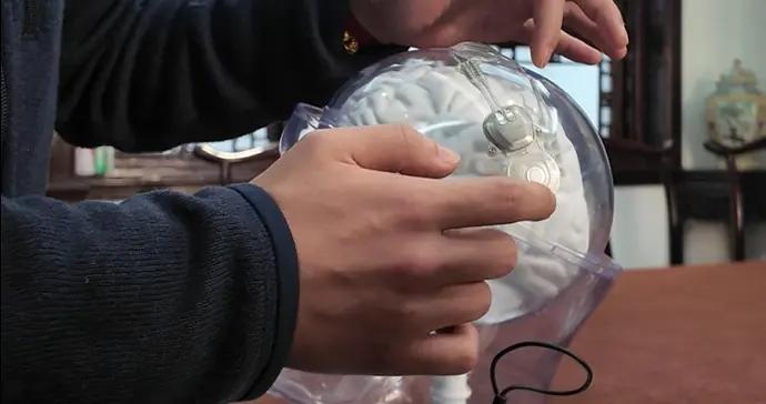 全球新！腦機接口全球“首證”花落上海，大衆距離這一“接口”有多遠？