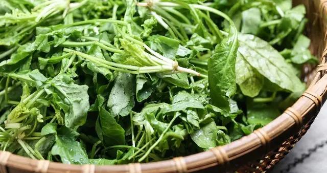 春天9種野菜圖鑑，你喫過幾種？