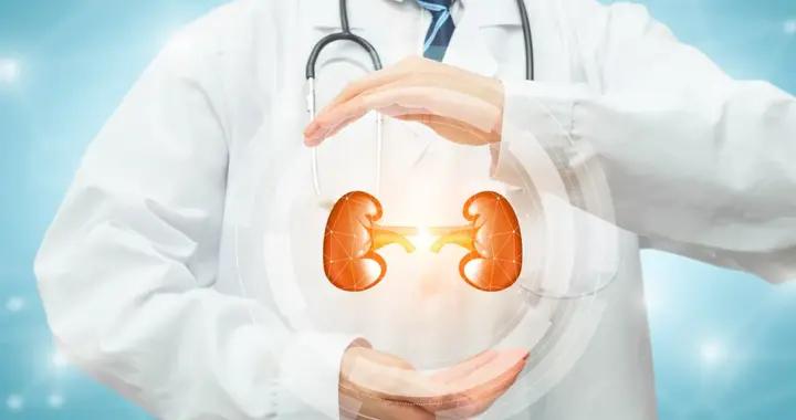 每 10 人就有 1 人腎受損！關於腎臟健康，別再一無所知丨世界腎臟日