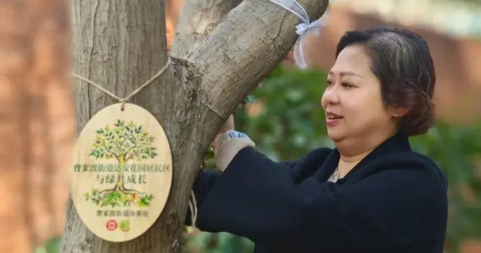 “我在曹家渡有棵樹”，他們首創“綠色合夥人”機制