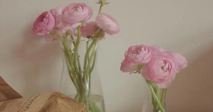 情感散文：一個人，擁有頂級的鬆弛感，原因在此